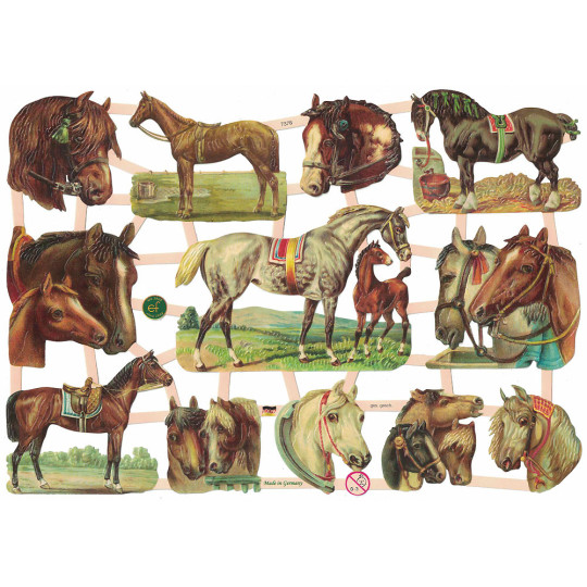 Mixed Horses Scraps ~ Germany
